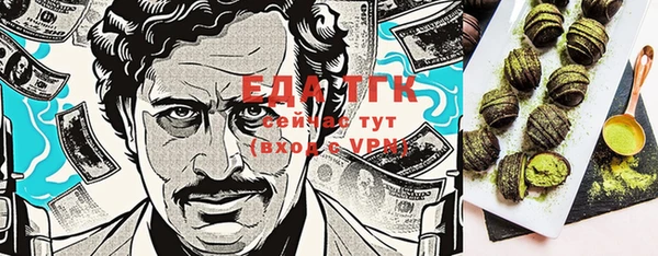 мет Алексин