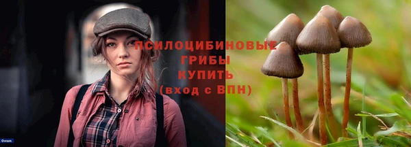 а пвп мука Алексеевка