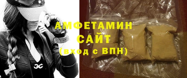 мет Алексин