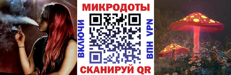 Галлюциногенные грибы Psilocybe  Ачинск 
